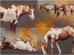 Coats of Paint by Julie Chapman