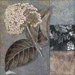 Cocoa & Blue III by Color Bakery