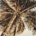 Coconut Palm II by Patricia Pinto