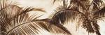 Coconut Palms by Patricia Pinto