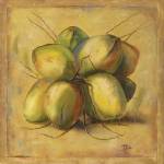 Cocos Locos I by Patricia Pinto