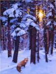 Cold Fire by Julie Chapman
