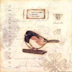 Color Bird II by Stephanie Marrott