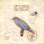 Color Bird III by Stephanie Marrott
