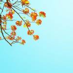 Color Pops 2 by Matt Crump