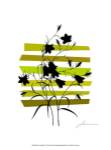Color Shade VI by James Burghardt