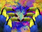 Colorful Birds A1A by Ata Alishahi