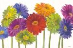 Colorful Gerbera Daisies by Carol Rowan