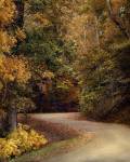 Colorful Journey by Jai Johnson