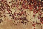 Colorful Season I by Pela and Silverman