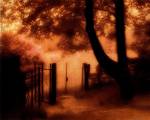 Come In by M. Ellen Cocose