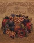Compagna by Pamela Gladding
