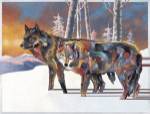 Companions by Bob Coonts