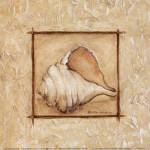 Conch by Kate McRostie