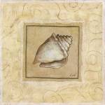 Conch Shell by Pablo Esteban