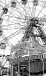 Coney4 by Christopher Bliss