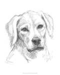 Constant Companion I by Ethan Harper