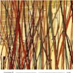 Contempo II by Susan Prentice