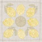 Contour Fruits & Veggies X by Vision Studios