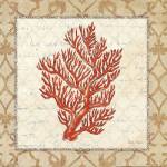 Coral Beauty Light I by Emily Adams