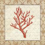 Coral Beauty Light II by Emily Adams