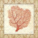 Coral Beauty Light III by Emily Adams