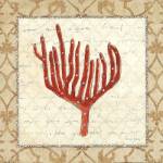 Coral Beauty Light IV by Emily Adams