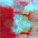 Coral Glass I by Danielle Harrington