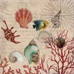 Coral I by Aimee Wilson