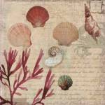 Coral II by Aimee Wilson