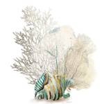 Coral II by Aimee Wilson