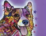 Corgi by Dean Russo