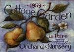 Cottage Garden II by Susan Winget