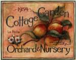 Cottage Garden IV by Susan Winget