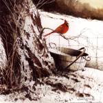 Country Cardinal by John Rossini