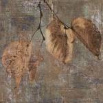 Country Escape II by Pela and Silverman