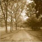 COUNTRY ROAD by Sondra Wampler