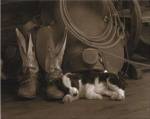 Cowboy Puppy by Robert Dawson