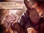 Cowboy Reason 4 by Shawnda Eva