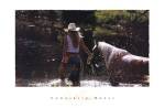 Cowgirl n' Horse by David R. Stoecklein