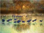 Cranes in Mist II by Chris Vest