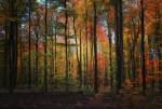 Crayons de Couleur by Philippe Sainte-Laudy