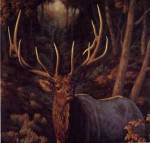 Crista Forest - Autumn Majesty Size 5x4 by Crista Forest