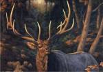 Crista Forest - Autumn Majesty Size 7x5 by Crista Forest