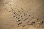 Crossing Paths by SD Smart