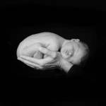 Curled Up 1 by Tanya Hovey