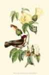 Cuvier Exotic Birds I by Baron Cuvier Georges