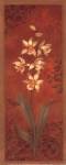 Cymbidium - petite by Pamela Gladding