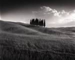 Cypress Cluster by Michael Hudson