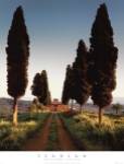 Cypress Lane by Robert Richard Scanlan